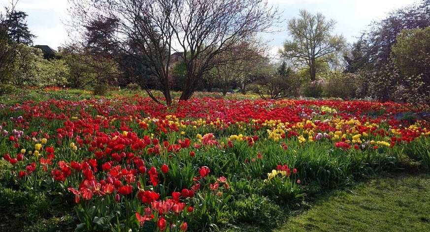 Schau- Und Sichtungsgarten Hermannshof, Germany